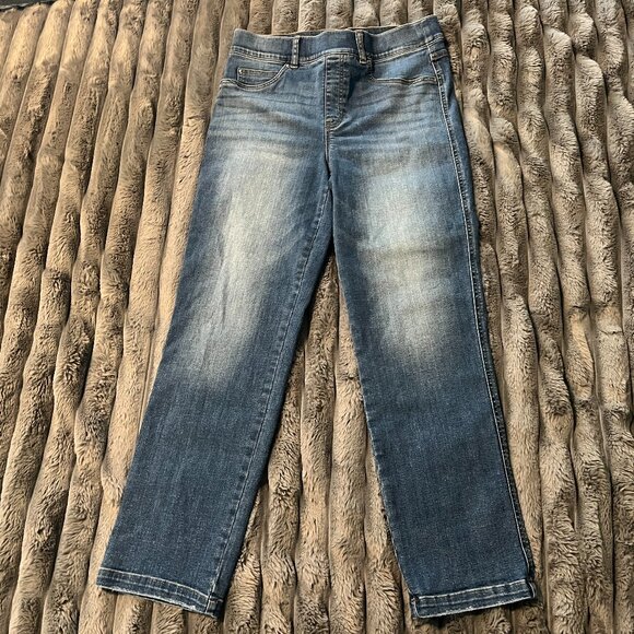 Spanx SPANXshape EveryWear Straight Leg Jeans Denim Shaping Stretch 20356R Sz L - Picture 2 of 12